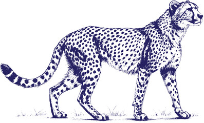 Cheetah Animal Sketch in Black Pencil on White Paper | Artistic Hand Drawn Wildlife Artwork for Decor and Design