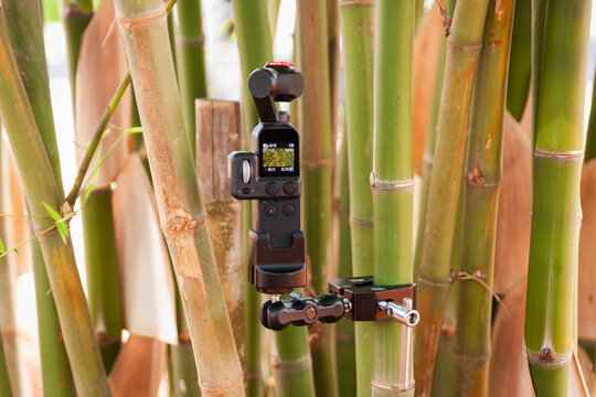 Recording event with camera setup amidst bamboo forest nature outdoor adventure close-up view