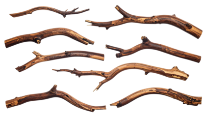 Ten isolated brown wooden twigs arranged against a black background