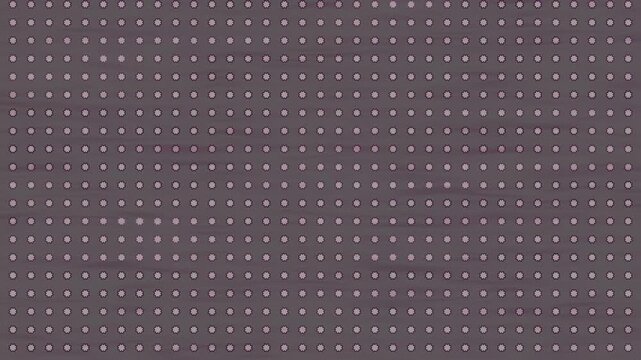 Muted purple 4k vide background with a repeating small pink floral pattern abstract