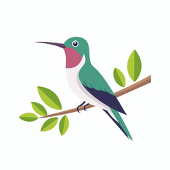 Fototapeta premium A colorful green and red hummingbird perched on a leafy branch illustration.