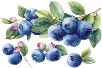 Ideal for labels, prints, and seasonal decorations in your home.