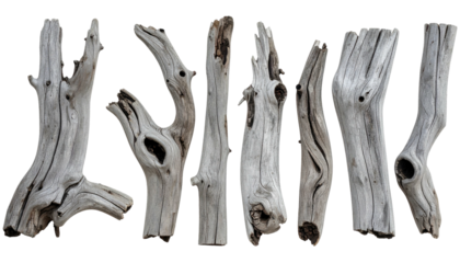Seven weathered, gray wooden branches with unique shapes, against black