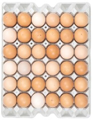 Eggs in a carton