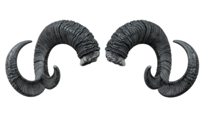 Pair of gray, curved horns with textured detail, positioned on a black background
