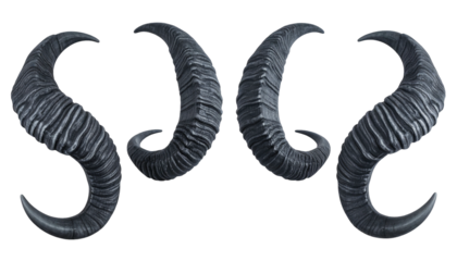 Four curling, textured black horns, presented in a symmetrical arrangement