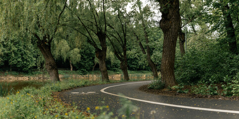 Obraz premium Serene winding road through lush green trees in a peaceful park setting during daytime