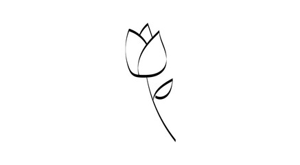 vector illustration of a hand-drawn Rose flower.