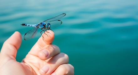 Dragonfly Resting on a Finger with a Serene Water Backdrop.