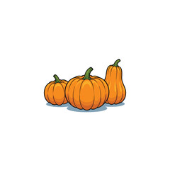Cartoon pumpkin and gourds collection for fall harvest or Halloween design, vector illustration.