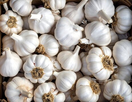 Overhead shot of numerous white garlic bulbs filling the frame. The bulbs are mostly intact with some displaying texture