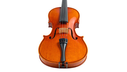Close Up of a Classical Violin 1.