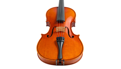 Close Up of a Classical Violin 1.