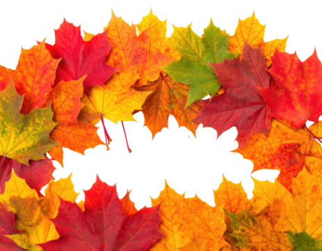 Assortment of vibrantly colored fall leaves with a cutout center on black