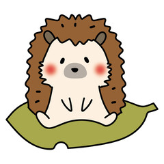 大きな落ち葉に乗るハリネズミ