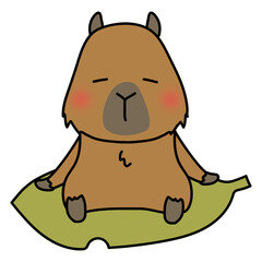 大きな落ち葉に乗るカピバラ