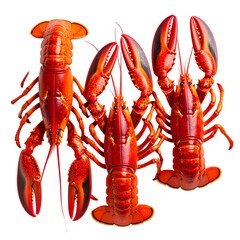 Three cooked lobsters arranged on a black background, showcasing their bright red shells