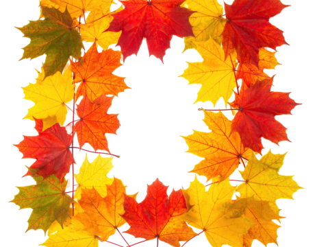 A wreath of colorful autumn leaves, isolated on black, square frame