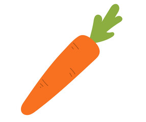 carrot isolated on white