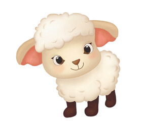 funny sheep isolated on white