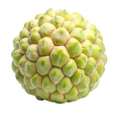 Fototapeta premium Custard apple isolated on transparent background