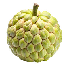Obraz premium Custard apple isolated on transparent background