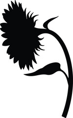 Vector silhouette sunflower blossom stem and leaf illustration
