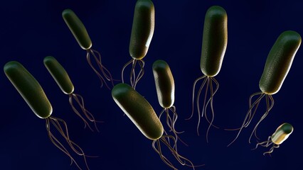 a 3d image of Helicobacter pylori (H. pylori) that infects the stomach lining (gastric mucosa) and the first part of the small intestine (duodenum) in dark blue background.