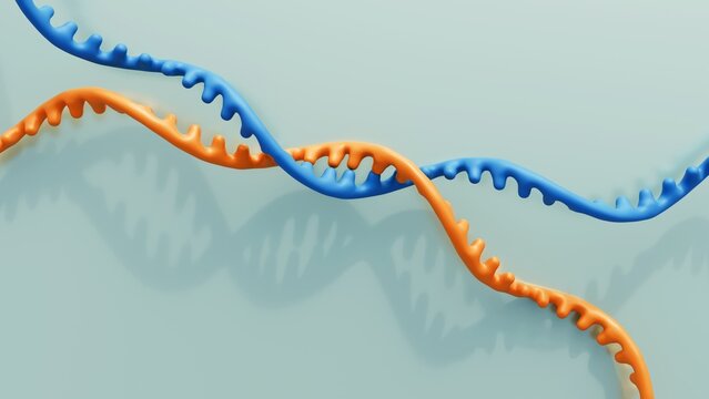 A 3d image depicts RNA recombination, showing two genetic strands (green and yellow) breaking and joining to form a new combined sequence.