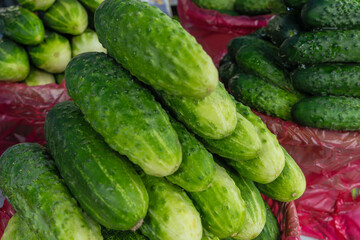 Fresh cucumbers stacked in a market display. Farm fresh cucumbers in a vibrant pile representing natural produce clean eating and seasonal vegetables.