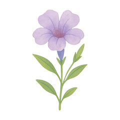 PNG Delicate watercolor purple flower illustration.