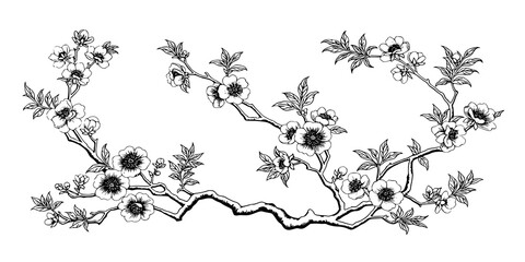 ..Blue and White Chinese flowering branches. Design elements on a white background. Vector clipart.
