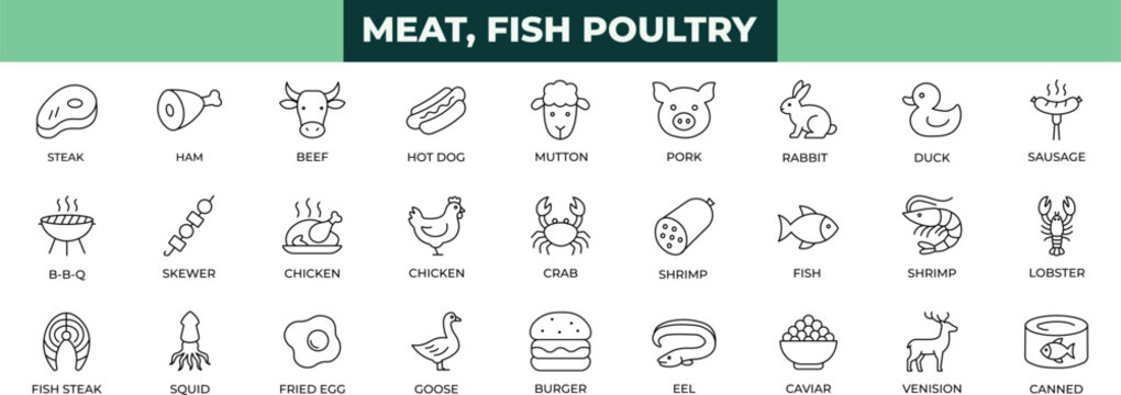 Meat, poultry, fish and eggs line icons collection