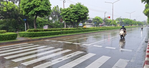 On the road at the zebra crossing in the city while it was raining, there was a tree that acted as a median separating the two sides of the road. © Juntee
