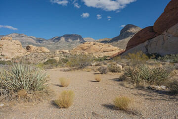 The visit to the Red Rock Canyon in Las Vegas NV.