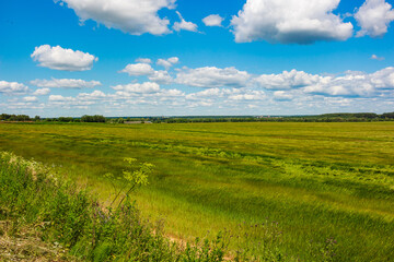 Vibrant green field under a bright blue sky with fluffy white clouds, showcasing a peaceful summer landscape