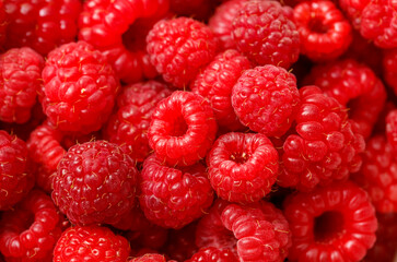 A bunch of red raspberries