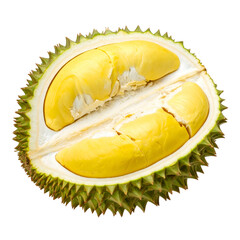Fototapeta premium Cross-section of a durian fruit revealing yellow, custard-like flesh within a spiky green husk