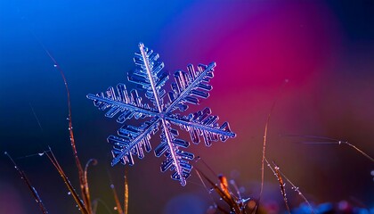 Detailed snowflake close-up