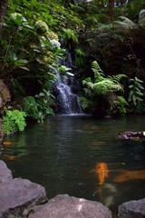 Obraz premium waterfall in a park