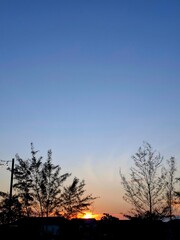 Decorative string lights hanging outdoors against a beautiful clear dark blue twilight or sunset sky, above the silhouette of trees, creating a cozy and romantic atmosphere.