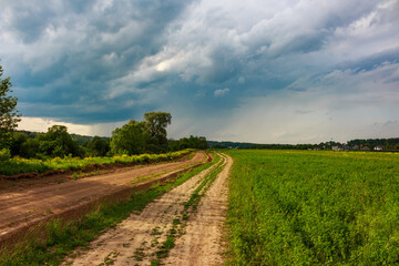 Obraz premium Winding dirt road cuts through green fields under a dramatic, cloudy sky, leading towards a distant horizon. Rural summer landscape