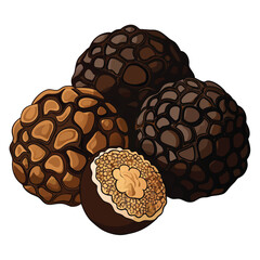 An assortment of decadent chocolate truffles with textured cocoa coatings