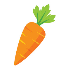 A vibrant orange carrot with fresh green leaves isolated on white