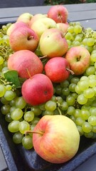 Ripe fruit harvest combining red apples and green grapes
