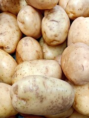 Large organic potatoes in the grocery store