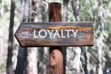 LOYALTY text written on a wooden signpost against a forest background. Customer review satisfaction feedback survey concept