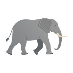 Fototapeta premium Elephant Walking Flat Icon