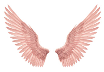 Isolated pair of light pink fantasy angel wings, romantic vintage design elements