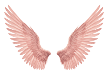 Isolated pair of light pink fantasy angel wings, romantic vintage design elements